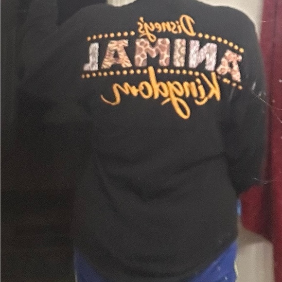 Disney Animal Kingdom spirit jersey (rare) - Picture 10 of 10